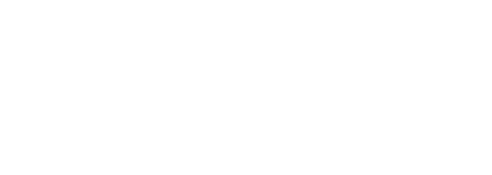 nap Logo